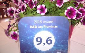 B&B Las Pluminas